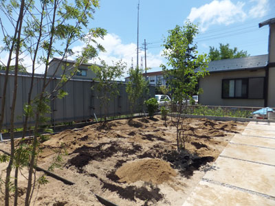 聖籠町ｓ様邸 植栽で彩るさわやかな芝庭 苔築山完成 エクステリア工房 庭匠館 新潟東店